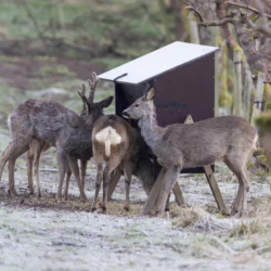 Foderautomat r�dyr, d�dyr og krondyr 90 L.