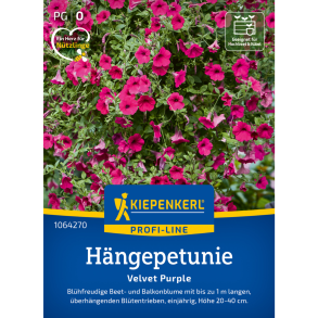 H�ngepetunia 'Velvet Purple' Kiepenkerl &ndash; dyb lilla fl�jlsagtige blomster, overh�ngende v�kst til altan, krukker og ampels, pillefr� F1-hybrid