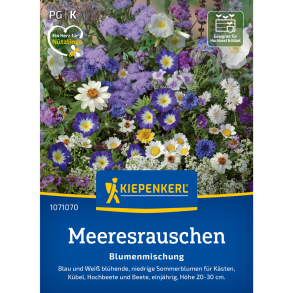 Havbrus blomsterfr� blanding Kiepenkerl &ndash; bl� og hvid sommerblomst mix til altan & bed