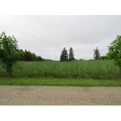 Universal Vildtagerblanding  - flerrig 10 kg .