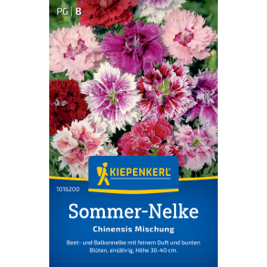 Farverig Kiepenkerl Sommerblumen-Mischung &ndash; bunte Sommerblumen 20-30 cm h�je, bi-venlig blomstring juni-oktober - Sommernelke