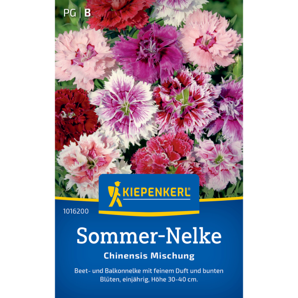 Farverig Kiepenkerl Sommerblumen-Mischung &ndash; bunte Sommerblumen 20-30 cm h�je, bi-venlig blomstring juni-oktober - Sommernelke
