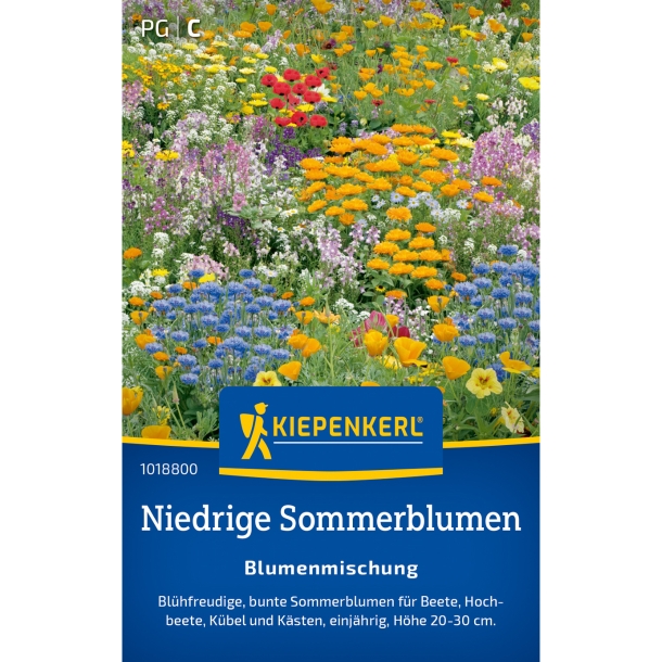 Farverig Kiepenkerl Niedrige Sommerblumen blanding &ndash; lave sommerblomster 20-30 cm h�je, bunte blomster til bede, krukker og altaner, bi-venlig fra juni til oktober