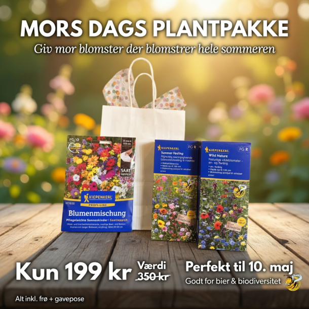 Mors Dag Gave � Den Blomstrende Sommerpakke