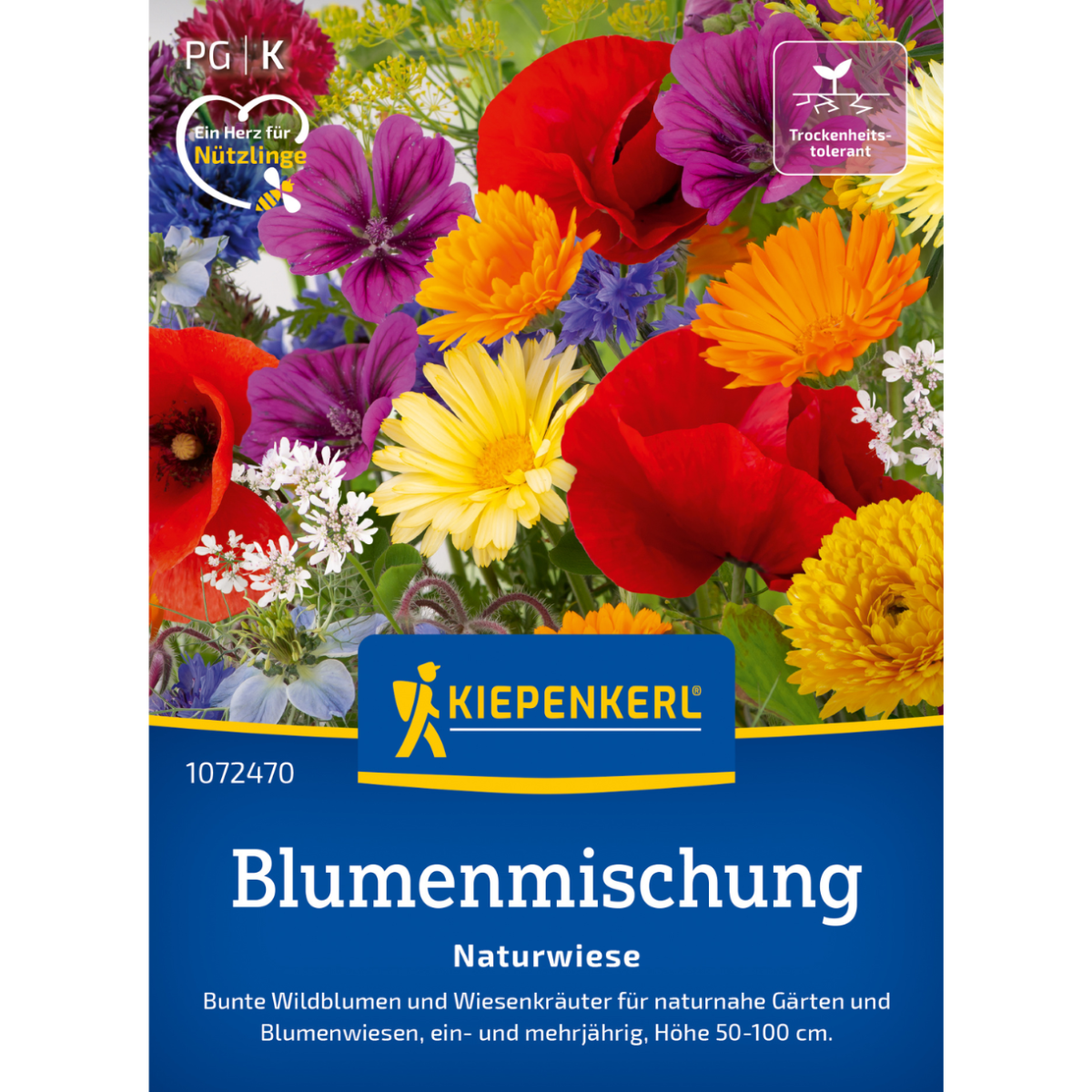 Natureng blomster blanding – naturlig eng frø til vild natur ...