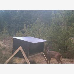 Startpakke d�vildt &amp; kronvildt