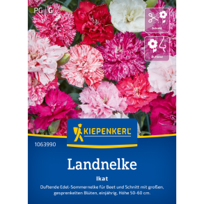 Farverig Kiepenkerl Landnelke Ikat &ndash; duftende edel-nellike med gesprenkelte blomster i rosa, violet og pink, h�jde 50-60 cm, perfekt til bede og snit