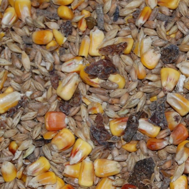 TROPHY Premium Mysli eller hel�rsfoder &ndash; blanding med majskorn, n�ddefragmenter, halm og h�jfiber pellets til sikker fodring af hjortevildt