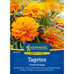Intens orange Tagetes Cresto Orange fra Kiepenkerl &ndash; leuchtend orange fl�jlsblomst, regenfest Dauerbl�her til krukker, bede og altaner, h�jde ca. 20-30 cm