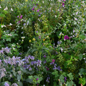 Universal Vildtagerblanding 10 kg fler�rig 