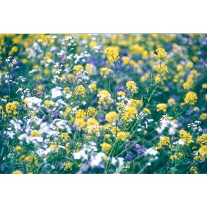 Den hurtige  efter�r-vinter vildtagerblanding 10 kg en�rig klik for info