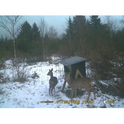 Foderautomat rdyr indhold 90 Liter. Klik her for mere info.