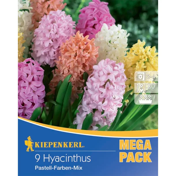 Hyacinter pastel mix 9 stk.