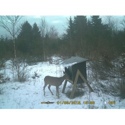 Stor Startpakke helrsfoder       klik for info