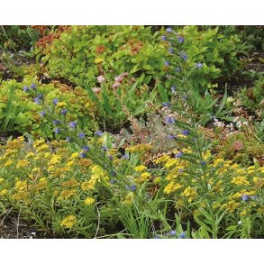 Tagblanding flerrig 3 til 4 m2 NYHED