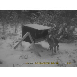 Foderautomat rdyr - ddyr og krondyr indhold 325 liter. Klik her for mere info