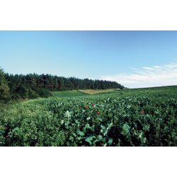 Universal efterr - vinter vildtagerblanding 10 kg enrig  klik for info