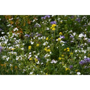 Universal efter�rs afgr�de 10 kg  NYHED klik for info Fler�rig